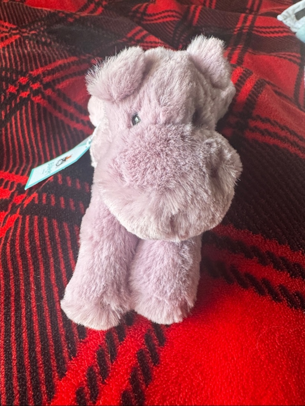 Jellycat Tiny Smudge Hippo